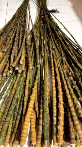 cendani super bahan  lajuran cendani asli manualan