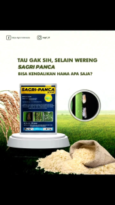Insektisida SAGRI-PANCA Ampuh Basmi Wereng dan Kutu-Kutuan Hingga Sel Telurnya pada Tanaman Buah dan Sayur