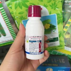 Thuốc trừ bệnh Amistar top Syngenta 100ml