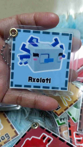 Grow A Garden Laminated Keychain 4 pcs for Php.100(random design)