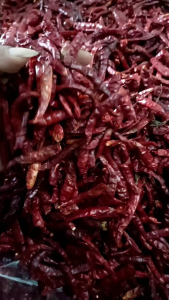 MURAH ( 1.kg ) CABE RAWIT TEJA CAPLAK KERING KUALITAS SUPER PEDAS tanpa tangkai