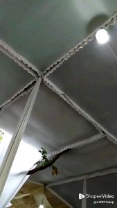 Desain Plafon Panggung Polos & Poni Keliling: Panduan Lengkap