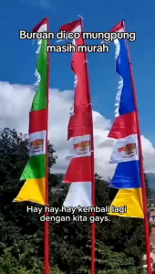 (5PIS) BENDERA UMBUL-UMBUL MERAH PUTIH YOPIES KUDA LAUT UKURAN 27
