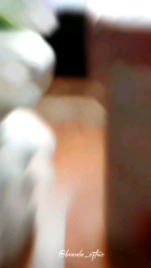 (BUY 1 GET 1 FREE) Parfum Nagita Slavina 30ml Parfum viral parfumnya Nagita Slavina aroma bunga sakura Original BPOM