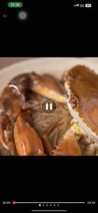 Thailand Pine Brand/Double Dragon Brand Bean Vermicelli 10x40g