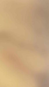 10 BỊCH BỘT PHẤN KIẾN VIPESCO