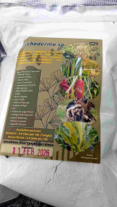 Tricodherma | Trikoderma | Jamur harzianum