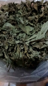 DAUN KUMIS KUCING KERING 500GRAM