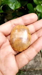 Batu akik mustika sendang kemulyan