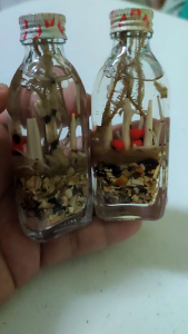 Dignum Puti /Itim Garapa for protection /LuckyCharm