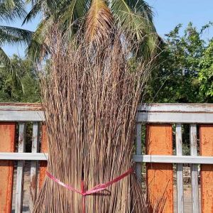 ไม้กวาด ทางมะพร้าว ขายยกมัด 1 มัดมี 10 ด้าม หนา