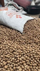 Biji pala utuh 100gr / nutmeg seed