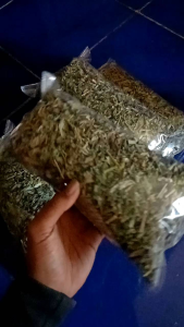 DAUN SENA PEMBERSIH USUS 100 GRAM KERING TEH DAUN SENA KERING