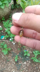 Rayap lure paket snap dan swifel kail akitakitsune
