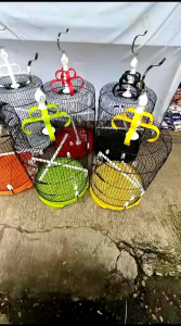 kandang burung jumbo Queen /murai/jalak/beo/nuri/burung besar lain nya