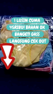 12 PCS Celana Dalam Anak Perempuan DIM DIM / Grosir CD anak Wanita Murah