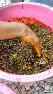 [500ml 1.5L] BAJA ORGANIK FPJ (FERMENTED PLANT JUICE)