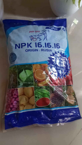 NPK 16 16 16 ORIGIN RUSIA KEMASAN 1 KG