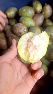 buah Kedondong segar 1kg