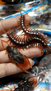 Ipis Cockroaches prank Alupihan Centipede pranks 2n1 toys for pranks