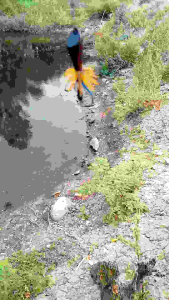 ตัวเหยื่อส่ายหน้า รุ่นส่ายพิฆาต งานไม้โมกมัน