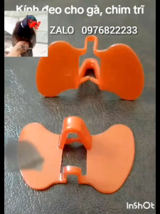com bo  50 mắt kính loại kẹp đeo cho chim trĩ cho gà