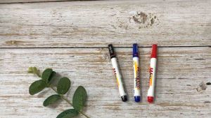 Bút lông bảng Thiên Long WB-02- đầu bút 1.1mm- 3 màu mực- Xanh/ Đỏ/ Đen- Mực xoá được