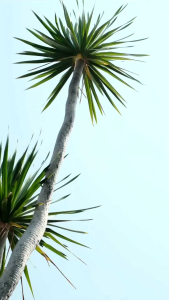 Atasan Wanita Blouse Batik Lengan Balon Kerah Collar