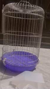 Máng ăn tự động cho chim gà