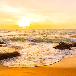 Odol Pigeon Toothpaste: Pasta Gigi Bayi & Anak 45Gr