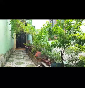 Béc Loa Xoay Mặt Sứ Xịt Tưới Cây Phun Thuốc Sâu Cao Cấp