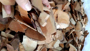 1kg Rễ Nhàu _ phơi khô