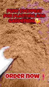 Cocopeat - Organic soil amendment - Natural fertilizer - Plant growth medium - Potting mix - Gardening substrate