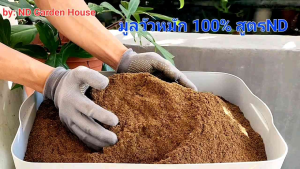 มูลวัวหมัก 100% สูตรพิเศษ ชุด 3 ถุง ขนาด 1 กิโลกรัม 👉ผลิตจากมูลวัวนมล้วนๆ 100% นำมาหมักกับจุลินทรีย์ อีเอ็ม และไตโครเดอม่า จนเย็นพร้อมใช้งานได้ทันที ปุ๋ยหมัก ปูมูลเพื่อผลิตคอก ปูมูลเพื่อการแต่งหมายคอก