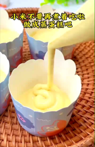 [LOHAS] Organic Non Sticky Millet 有机 非粘 小米 500g