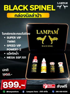 กล่องนิลลำปำ กล่องBLACK SPINEL LAMPAM อุปกรณ์ไก่ชน