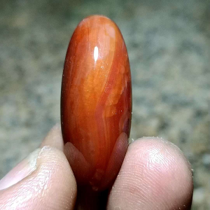 Asli Batu Akik Pandan 32cm A19