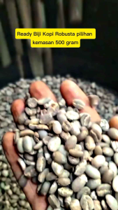 Kopi Robusta Pilihan 500 gram Green Bean Original