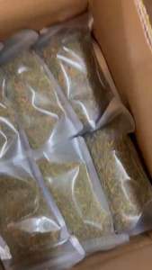 Hoa Đu Đủ Đực Sấy Lạnh Diệp Bách túi 250g