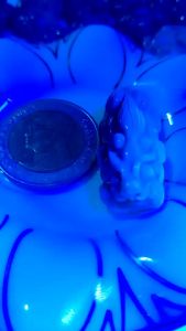 ปี่เซี๊ยะงานแกะสลักจากอำพันพม่าแท้ค่ะ