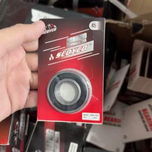 BEARING 6004 BANTALAN RODA Motor