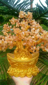 ต้นไม้เสริมฮวงจุ้ย สีทอง ความรุ่งเรือง มั่งคั่ง ร่ำรวย ของขวัญมงคล ตกแต่งบ้าน
