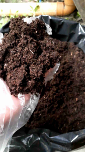 PEAT MOSS POTGROND H (500 GRAMS - 1 KILO)