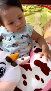 Sofa Belajar Duduk Bayi 4 Bulan