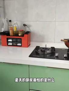 Readystock🇲🇾 Anti Fly & Cockroach Repellent Gel Lavender Fragrance Insect Cockroach Killer Repeller Penghalau Nyamuk驱除苍蝇