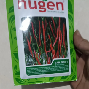 BENIH BIBIT CABE KERITING F1 10 GRAM BAM 369 F1 NUGEN Setara Kastilo OR TWIST