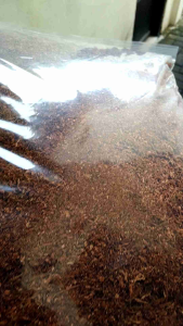 Cocopeat Media Tanam 5 Liter - Tanaman Tekstur Lembut Bebas Bakteri Cocok untuk Tanaman Bunga dan Green House Kemasan 5 Liter