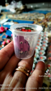 umpan pancingan ikan gabus Sigacor soft frog Lure ukuran 3 cm berat 5 gr terbuat dari bahan karet lentur premium bikin killer Doble hook yang tajam anti karat