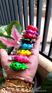 mancing ikan gabus dengan soft frog Lure Sigacor ukuran 3cm berat 5 gram di jamin casting