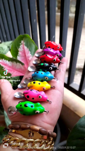 Soft Frog Lure Sigacor ukuran 3cm berat 5 gr terbuat dari karet premium di buat oleh si pemancing yang handal